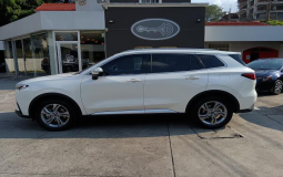 FORD TERRITORY 2024 3,528 kms.